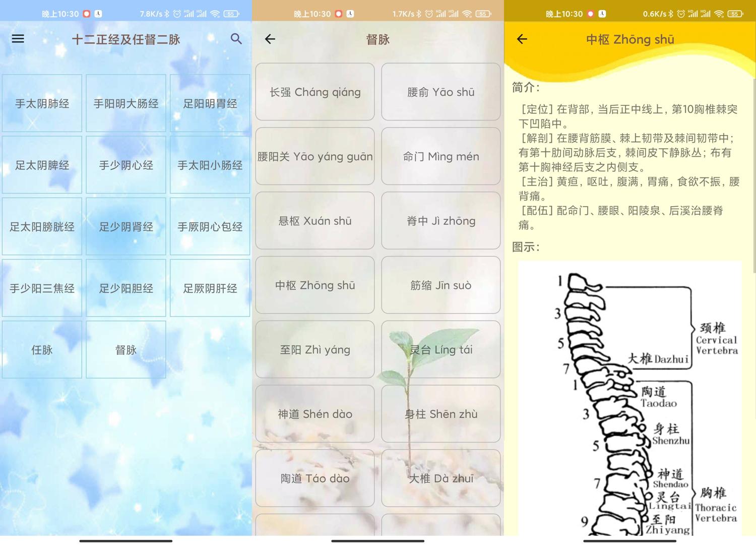 安卓人体穴位图解v3.1.4可离线版功能截图1